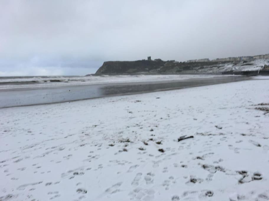 The North Bay Hideaway, Scarborough 아파트 외부 사진